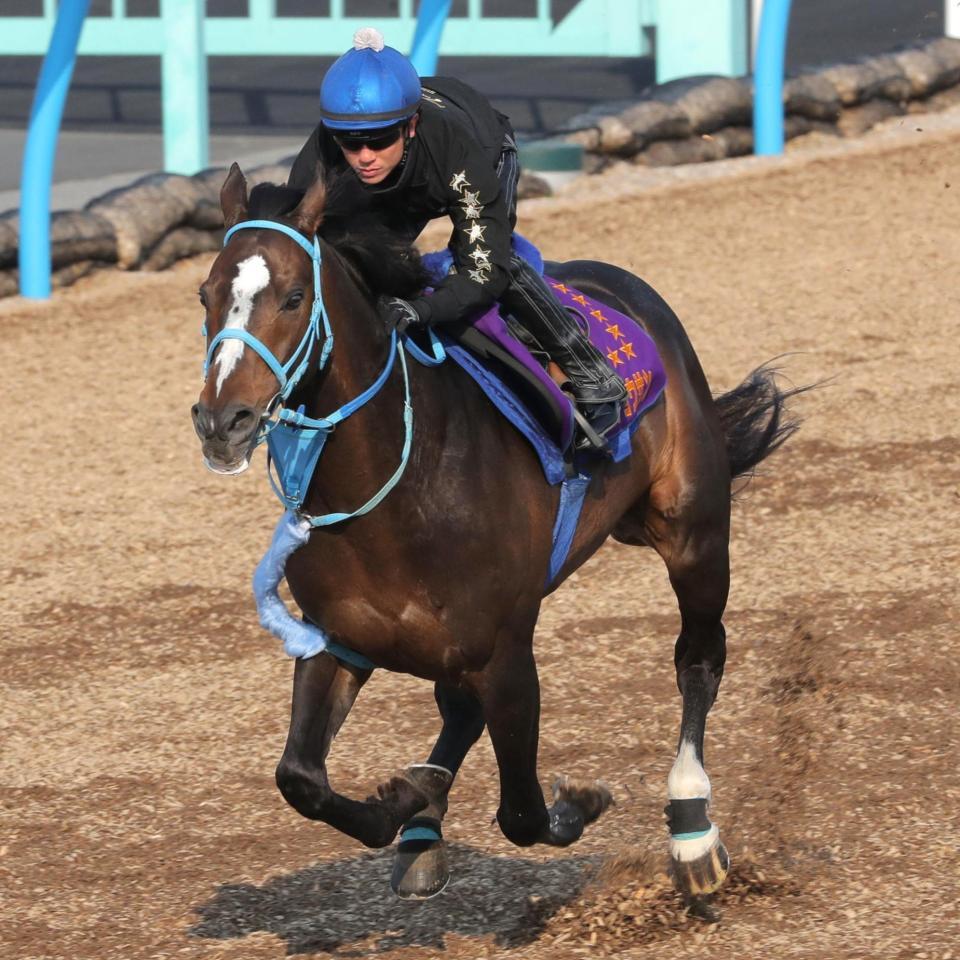 土曜中山の危険な人気馬/競馬・レース/デイリースポーツ online