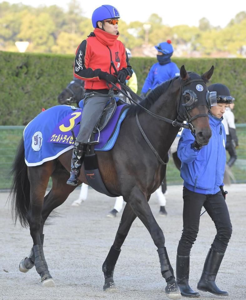 　ヴェルトライゼンデ