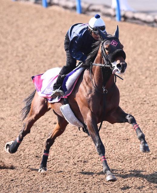 天皇賞 ミッキースワロー好仕上がり 馬なりでも動きパワフル 競馬 レース デイリースポーツ Online