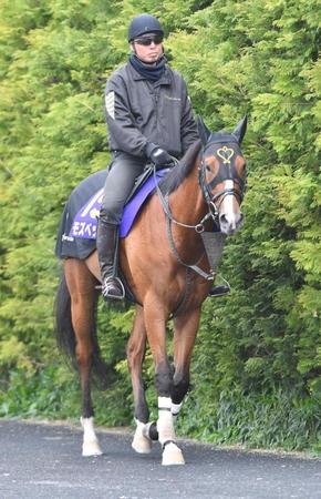 　５戦３勝の京都でＧ１獲りを目指すモズベッロ