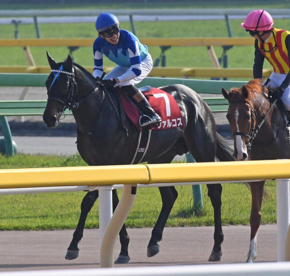 青葉賞で２着となり、ダービーの優先出走権を得たヴァルコス＝東京競馬場（撮影・三好信也）