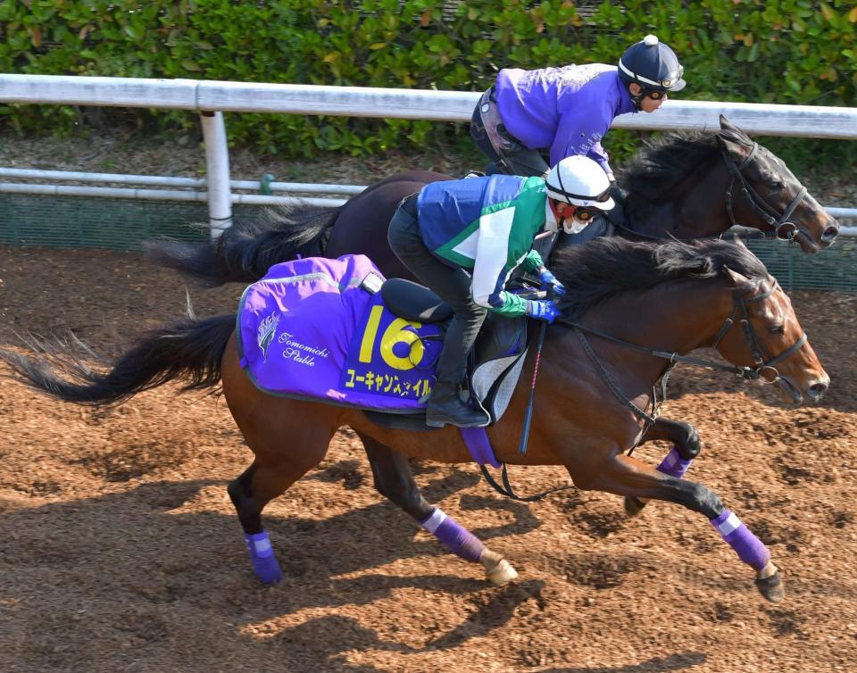 　ユーキャンスマイル（手前）