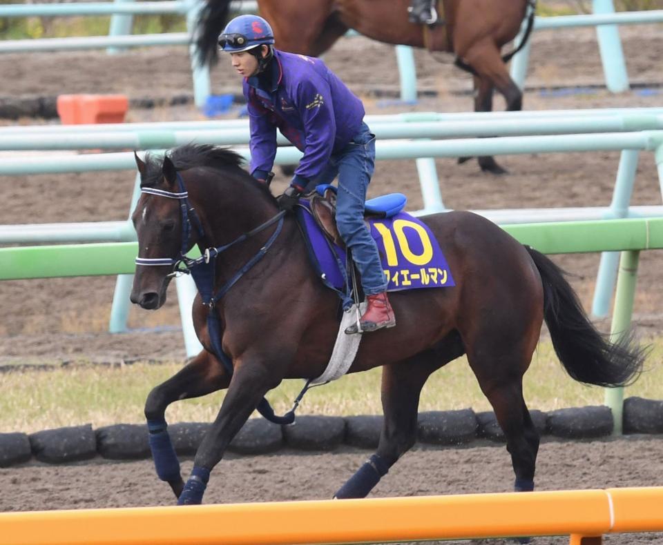 日曜京都の危険な人気馬/競馬・レース/デイリースポーツ online