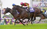 接戦を制したフィエールマン（手前）＝京都競馬場