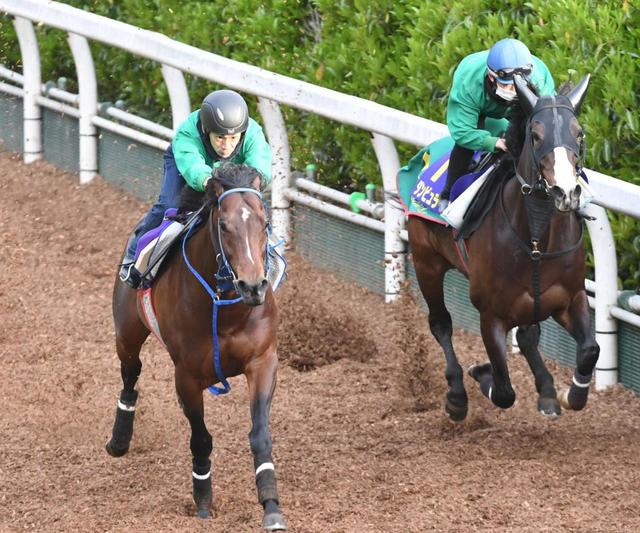 【天皇賞】ダンビュライト無観客はプラス 決戦前日、力強い脚取り見せる