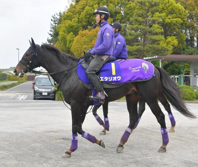【天皇賞】エタリオウ大舞台で一発逆転狙う!大江助手「非常にいい感じ」