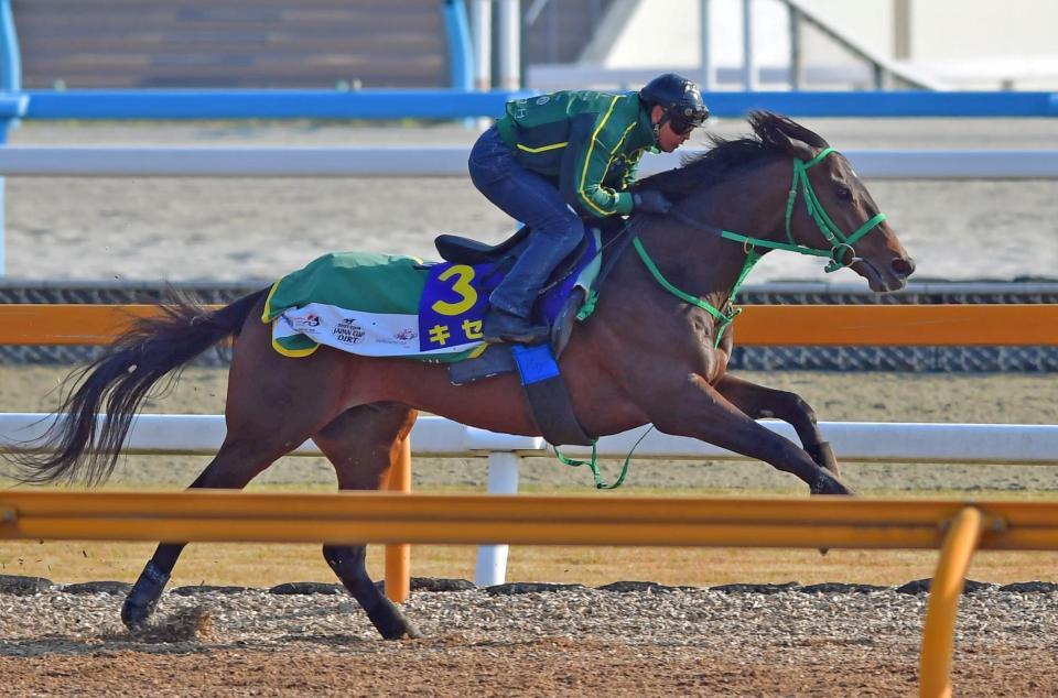 【天皇賞】キセキ万全の仕上がり 清山助手「いい状態で出せる」/競馬・レース/デイリースポーツ online