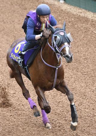 　活気十分に坂路を駆け上がったタイセイビジョン