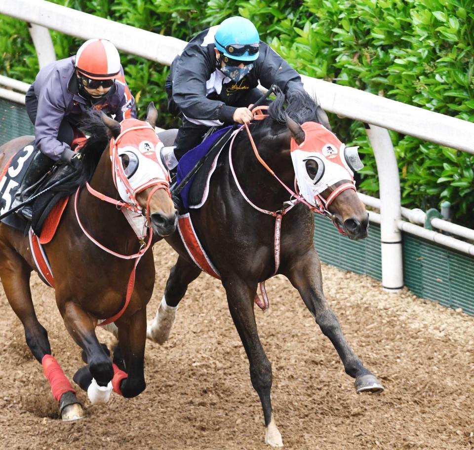 　併走馬に食らいついたサトノインプレッサ（右）