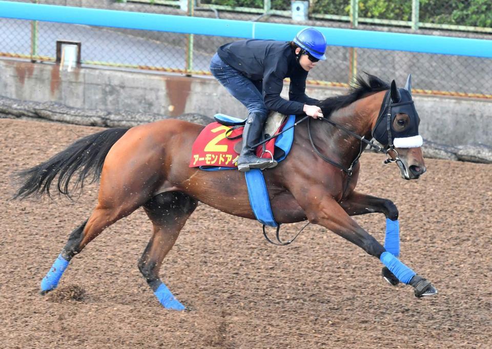 ヴィクトリアｍ アーモンドアイ圧巻 アクシデント続きも雰囲気は 万全 競馬 レース デイリースポーツ Online