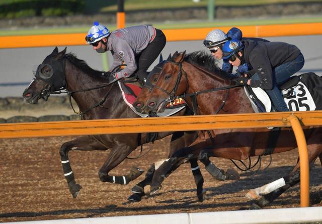 【オークス】クラヴァシュドール＆リアアメリア　中内田勢は順調リハ