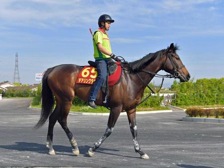 　無敗での桜＆樫の２冠獲りに挑むデアリングタクト