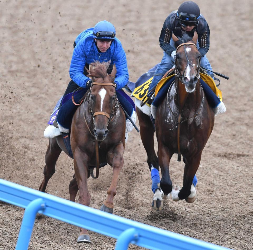 　美浦Ｗでの併せ馬で力強い走りを見せたサリオス（左）