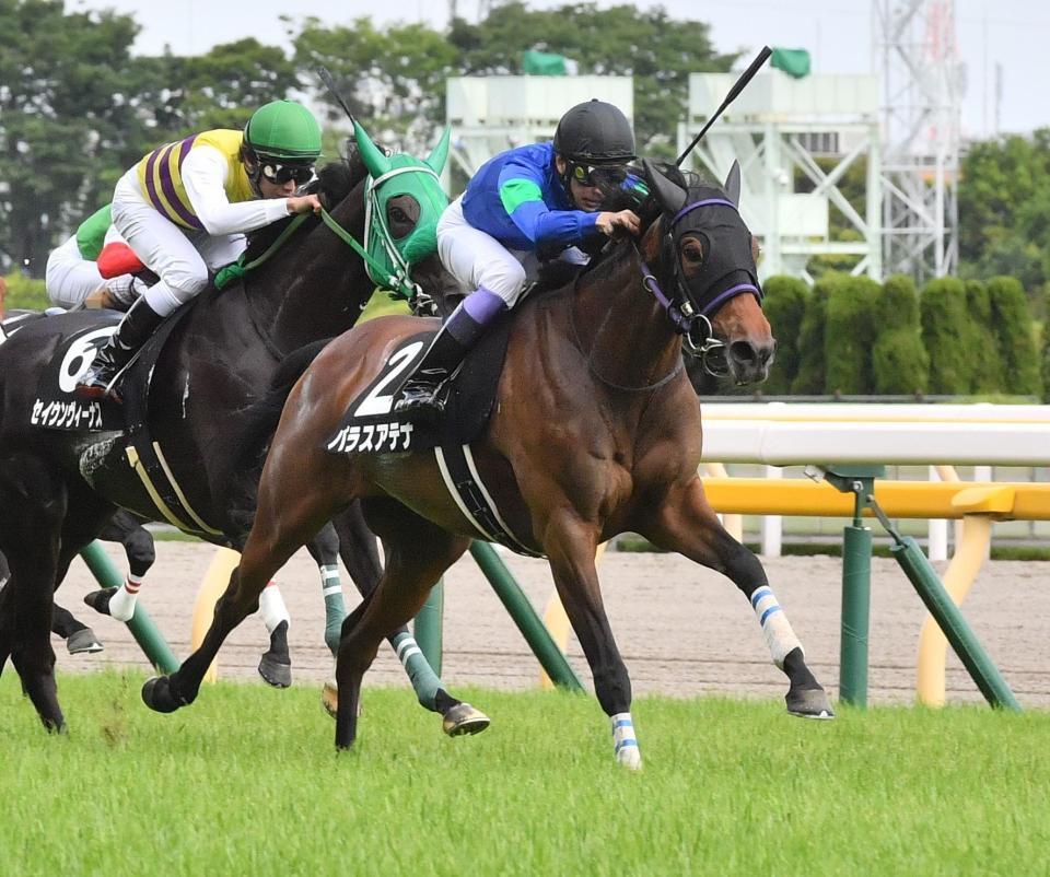 　カーネーションカップを制したパラスアテナ＝東京競馬場（撮影・園田高夫）