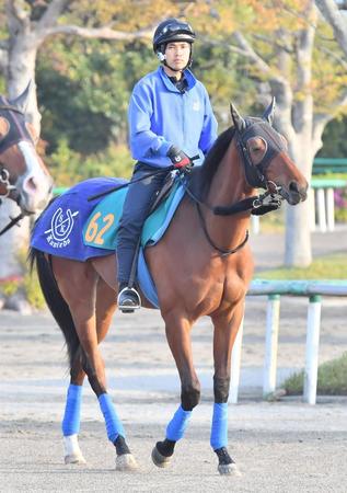 注目されている２歳牝馬サトノレイナス