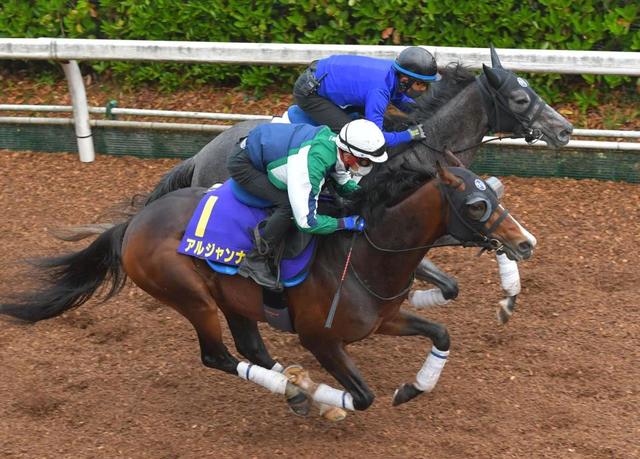 【日本ダービー】Ｃコースで高速化に拍車　馬場状態から浮上する馬は…