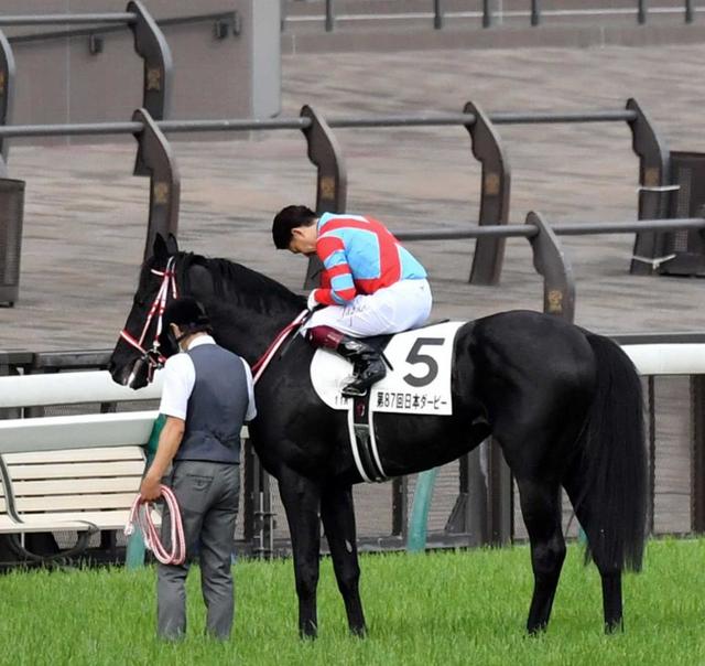競馬ステッカー コントレイル ジャパンカップ (エントランス展 競馬ステッカー コントレイル ジャパンカップ (エントランス展