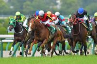 　ラヴズオンリーユー（右端）との追い比べを制したパフォーマプロミス（中央）＝撮影・石湯恒介