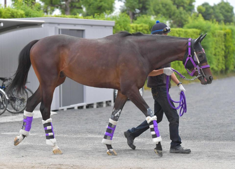 　運動するブレイブライオン