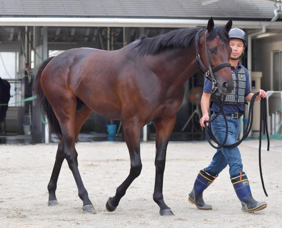 土曜東京の危険な人気馬/競馬・レース/デイリースポーツ online