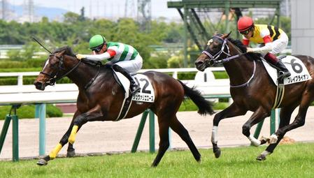 　ブレイブライオン（右）と競り合い２歳新馬戦を制したシュヴァリエローズ＝阪神競馬場（撮影・佐々木彰尚）