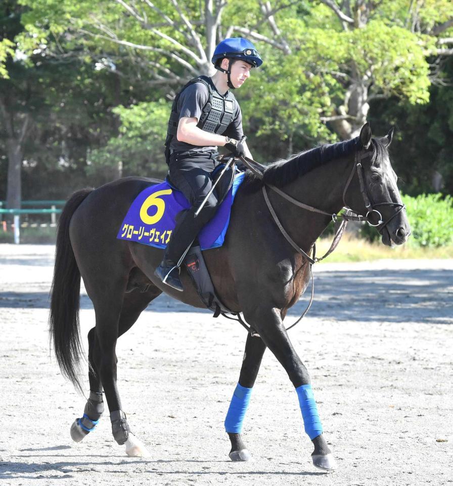 　レーンの手綱で戴冠を目指すグローリーヴェイズ