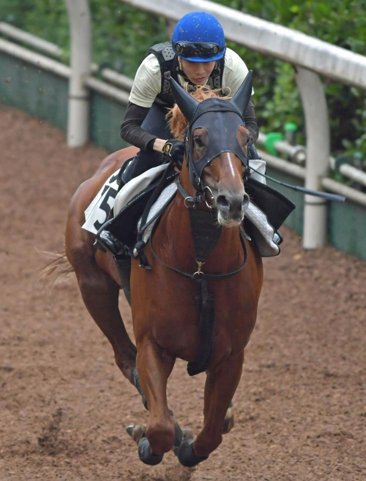 　クリノガウディー