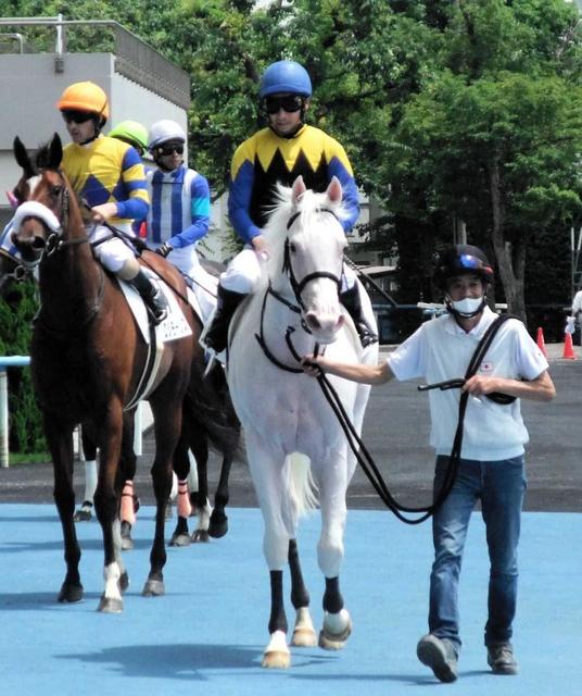 ｐｏｇ 白毛馬ソダシ 芝デビュー初ｖ 吉田隼 能力通り 距離も問題なかった 競馬 レース デイリースポーツ Online