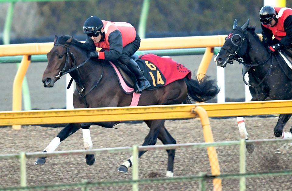 土曜福島の危険な人気馬/競馬・レース/デイリースポーツ online