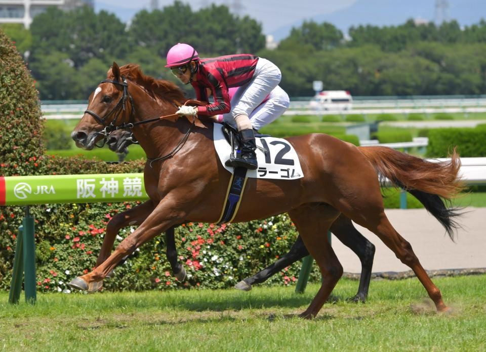 デビュー戦を制したラーゴム＝阪神競馬場