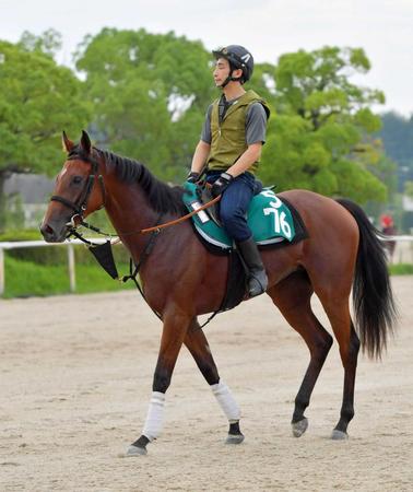 　良血らしい雰囲気を漂わせるフライングバレル（撮影・石湯恒介）