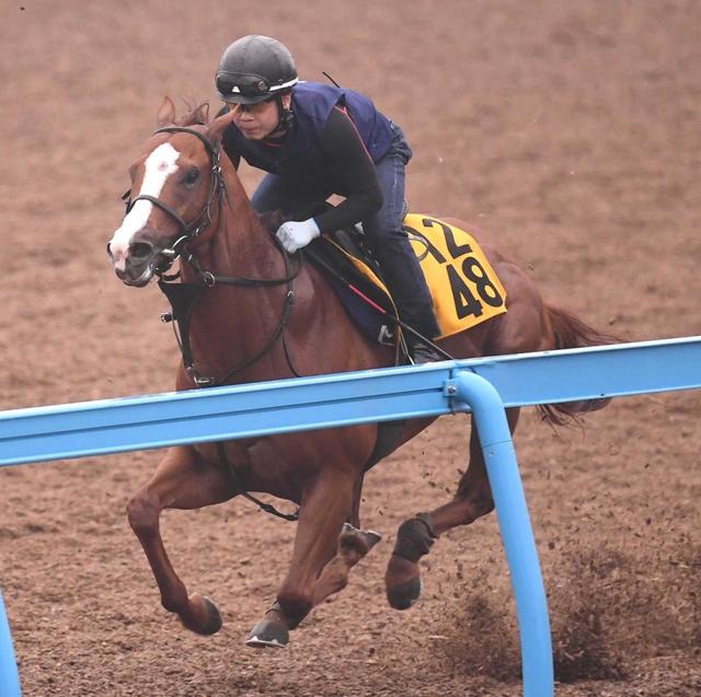 【アイビスSD】ナランフレグ伸び盛り!末脚自慢の4歳馬、ライバル一閃で重賞初Vへ