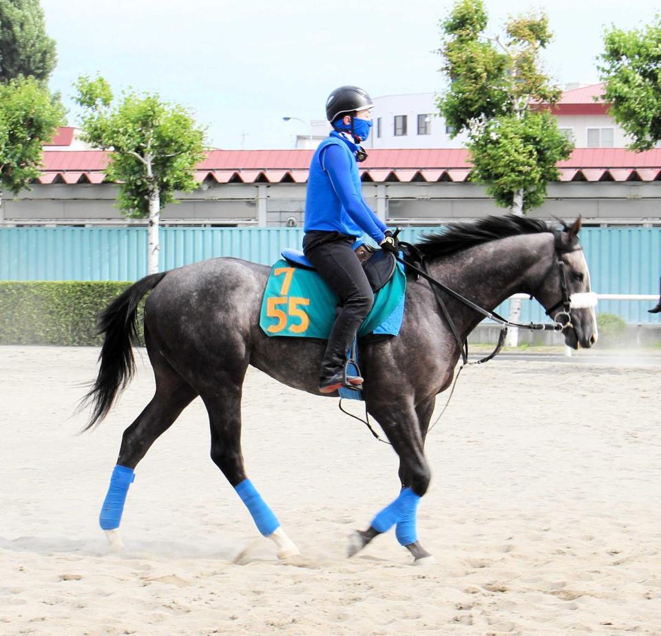 　素質の高さがうかがえるプラチナトレジャー