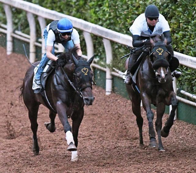 【アイビスSD】ダイメイプリンセス&ラブカンプー 得意舞台で再び輝く!