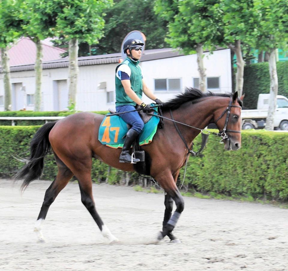 　皐月賞馬の兄超えを目指すキングストンボーイ