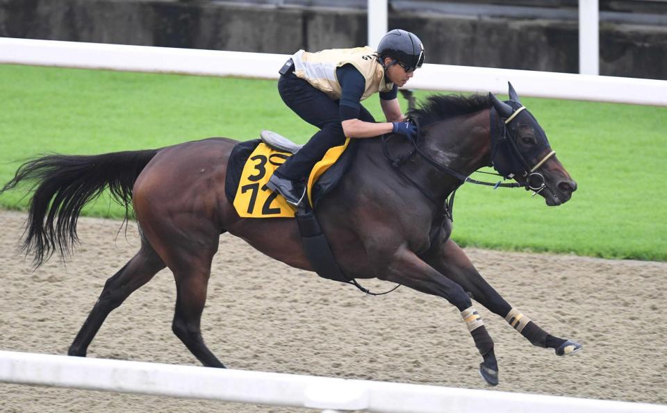 　美浦Ｐで活発な動きを披露したカッパツハッチ