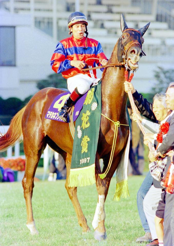 菊花賞を制したマチカネフクキタルと南井騎手＝１９９７年１１月２日、京都競馬場