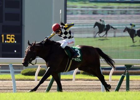 　最内から鋭く伸びたアールスター