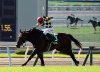 　最内から鋭く伸びたアールスター