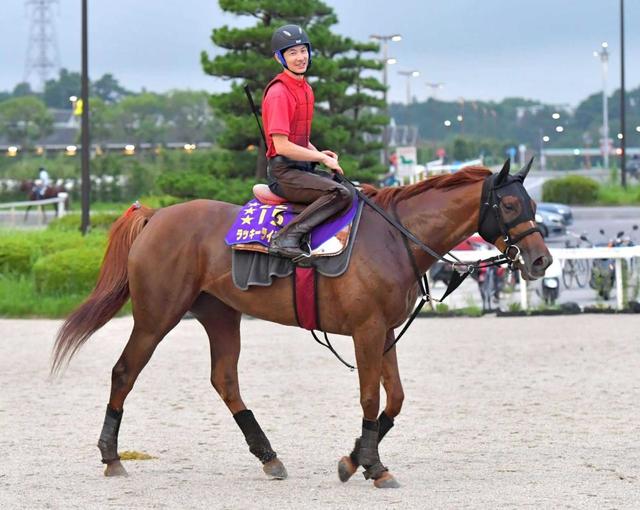 札幌記念 ラッキーライラック 雰囲気は良し 丸内助手 落ち着いていた 競馬 レース デイリースポーツ Online