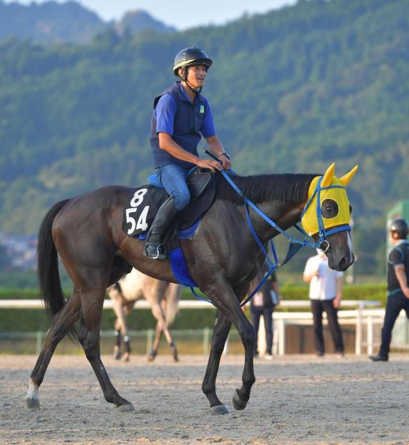 【危険な人気馬】小倉１１Ｒ　ハクアイブラック