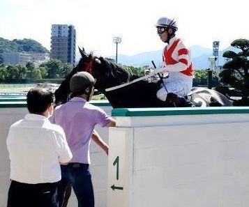 ひまわり賞 九州産の星 ヨカヨカ デビュー３連勝バイ 競馬 レース デイリースポーツ Online