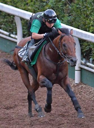 　力強い脚取りで坂路を駆け上がるカデナ（撮影・佐々木彰尚）