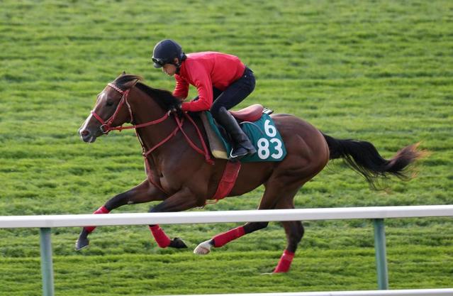 札幌２歳ｓ ピンクカメハメハ絶好調 馬なり好時計 陣営 勝ち負け 競馬 レース デイリースポーツ Online