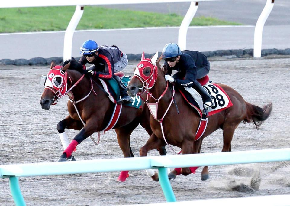 　新コンビの坂井を背に軽快な動きを見せたバスラットレオン（左）