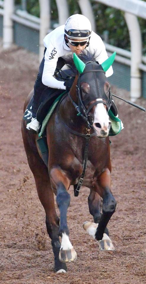 　力強く駆け上がるビアンフェ