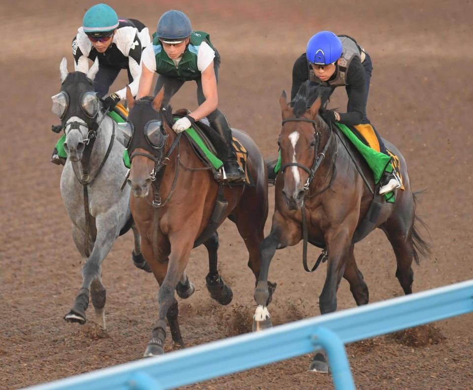 　スムーズな脚さばきを見せたアルーシャ