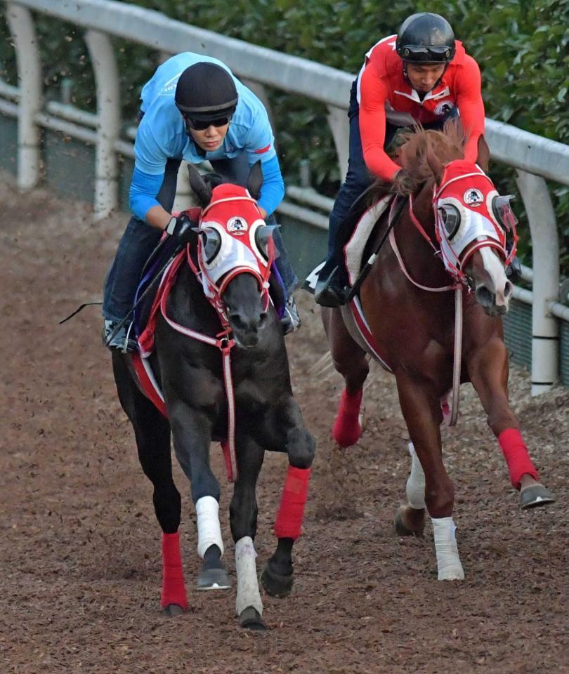【神戸新聞杯】コントレイル順調 折り合ってスムーズに加速/競馬・レース/デイリースポーツ online 【神戸新聞杯】コントレイル順調 折り合ってスムーズに加速/競馬・レース/デイリースポーツ online