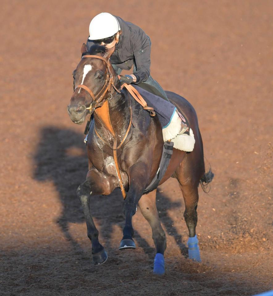 　石橋脩を背に美浦Ｗで好仕上がりをアピールしたルフトシュトローム