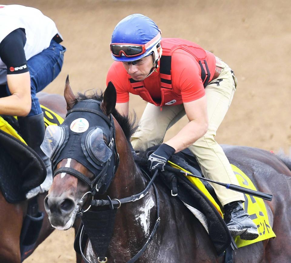 　ベテラン健在！重賞連勝を狙う内田博とクレッシェンドラヴ